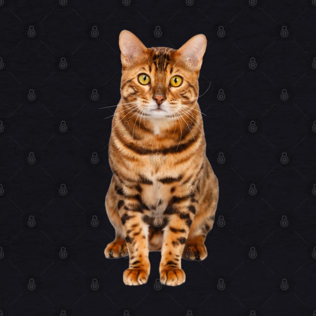 Amazing Bengal Cat by PrintArtdotUS